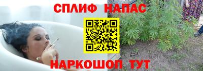 стаф Будённовск