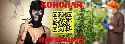 стаф Будённовск