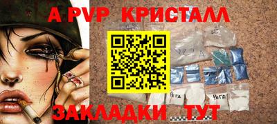 стаф Будённовск