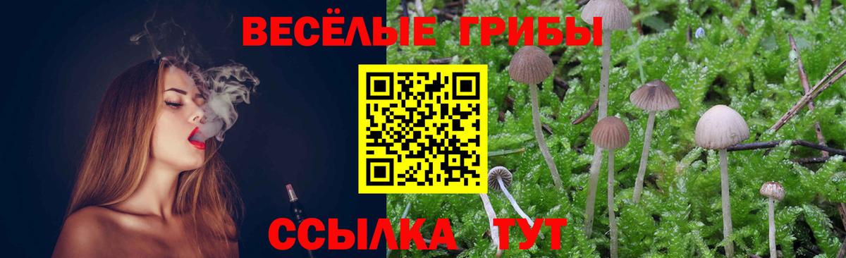 Галлюциногенные грибы Magic Shrooms  Вход с VPN  Кудрово 