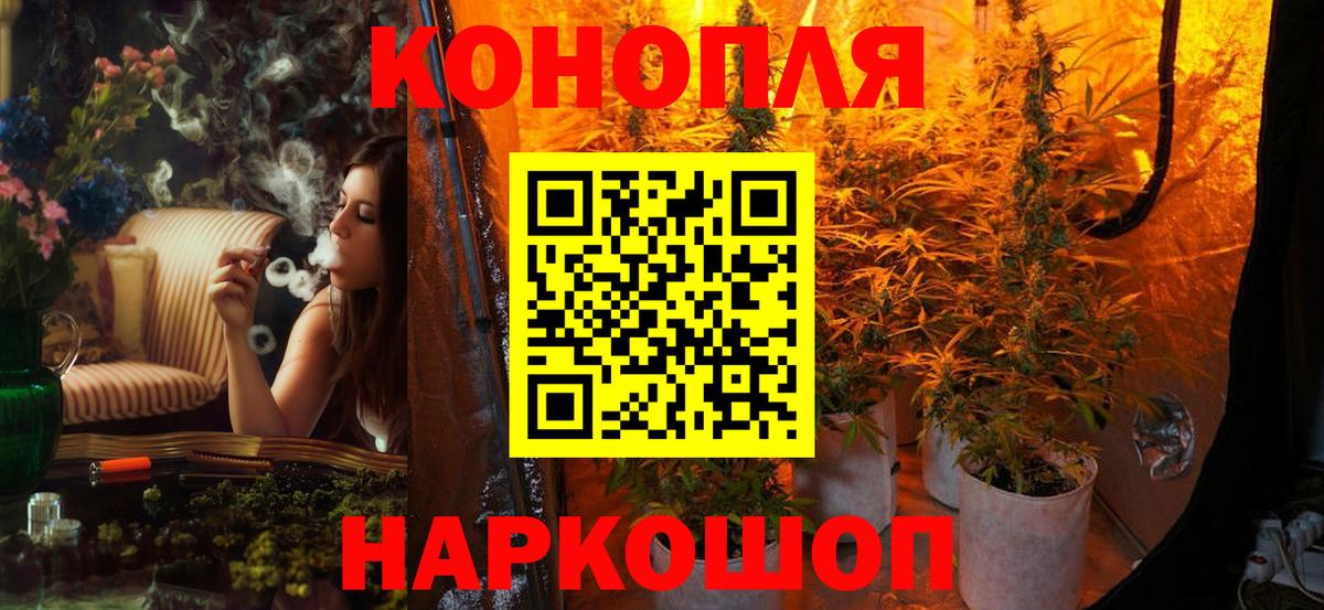 Бошки марихуана индика Кудрово